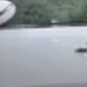 Ľavé predné dvere Kia Sportage 3 (SL)
