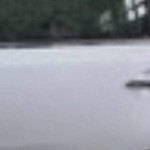Ľavé zadné dvere Kia Sportage 3 (SL), biele